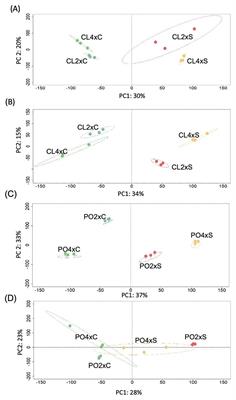 Comparative transcriptomic analyses of diploid and tetraploid citrus reveal how ploidy level influences salt stress tolerance